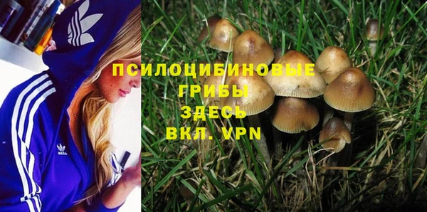 дмт Армянск