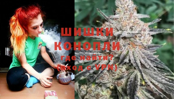 spice Аркадак