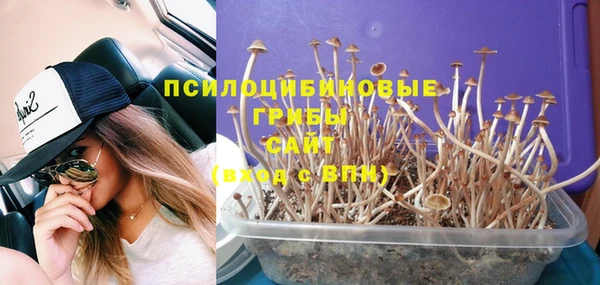 spice Аркадак
