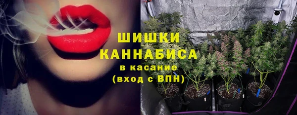 spice Аркадак