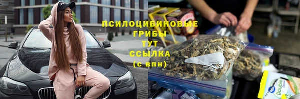 spice Аркадак